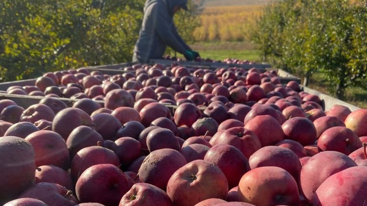 Farmworkers rights health