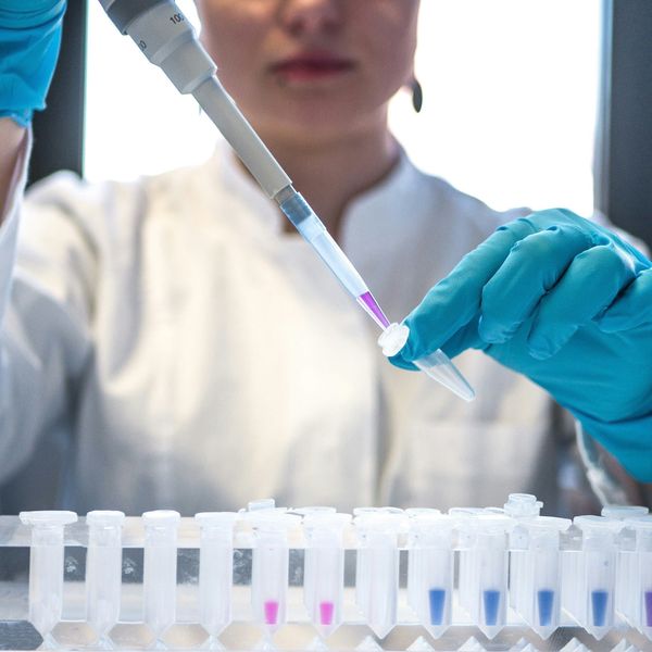 Female scientist in white lab coat putting samples into test tubes.