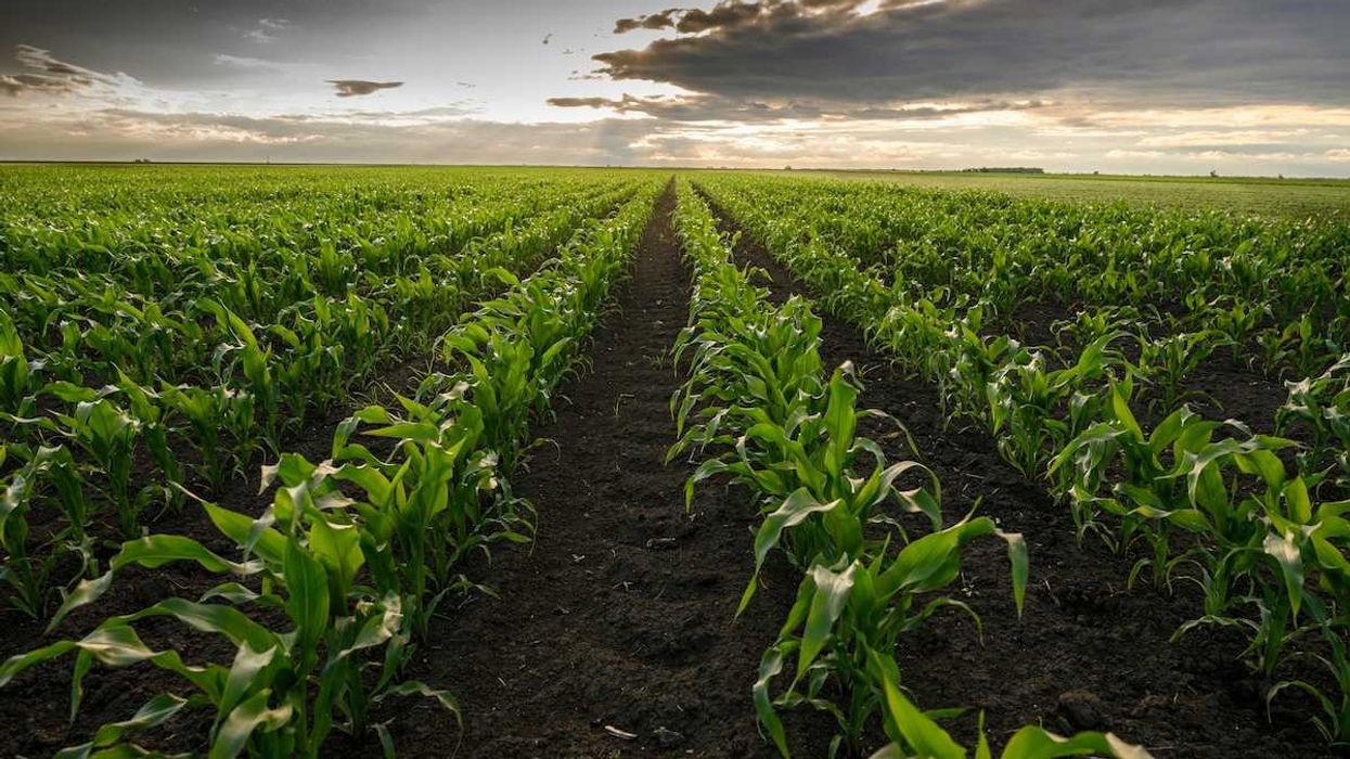 VIDEO: Farm Bill politics and Iowa’s cancer and pollution…