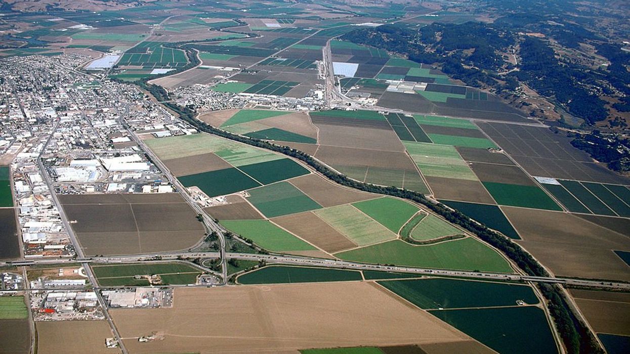fields agriculture town california