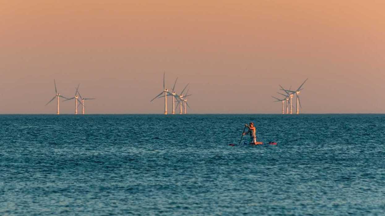 Figure kneeling on paddleboard with a dozen wind turbines in background