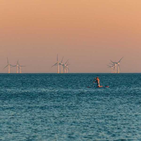 Figure kneeling on paddleboard with a dozen wind turbines in background