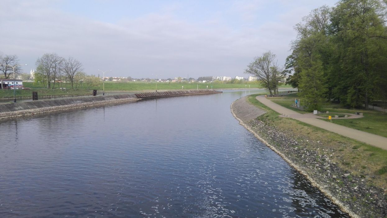 Muerte de peces en el río Oder: una catástrofe anunciada en Polonia