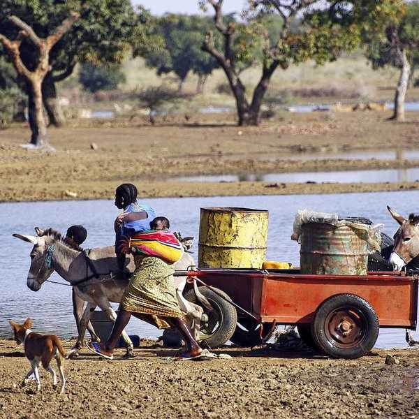 Filling and transportation of water bottles at lake for women to irrigate crops
