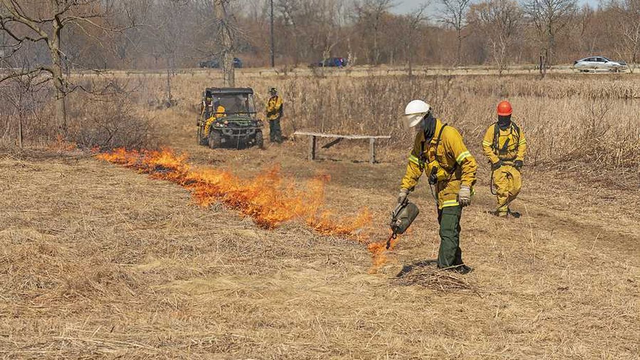Fire fighters setting a prescribed burn in a field