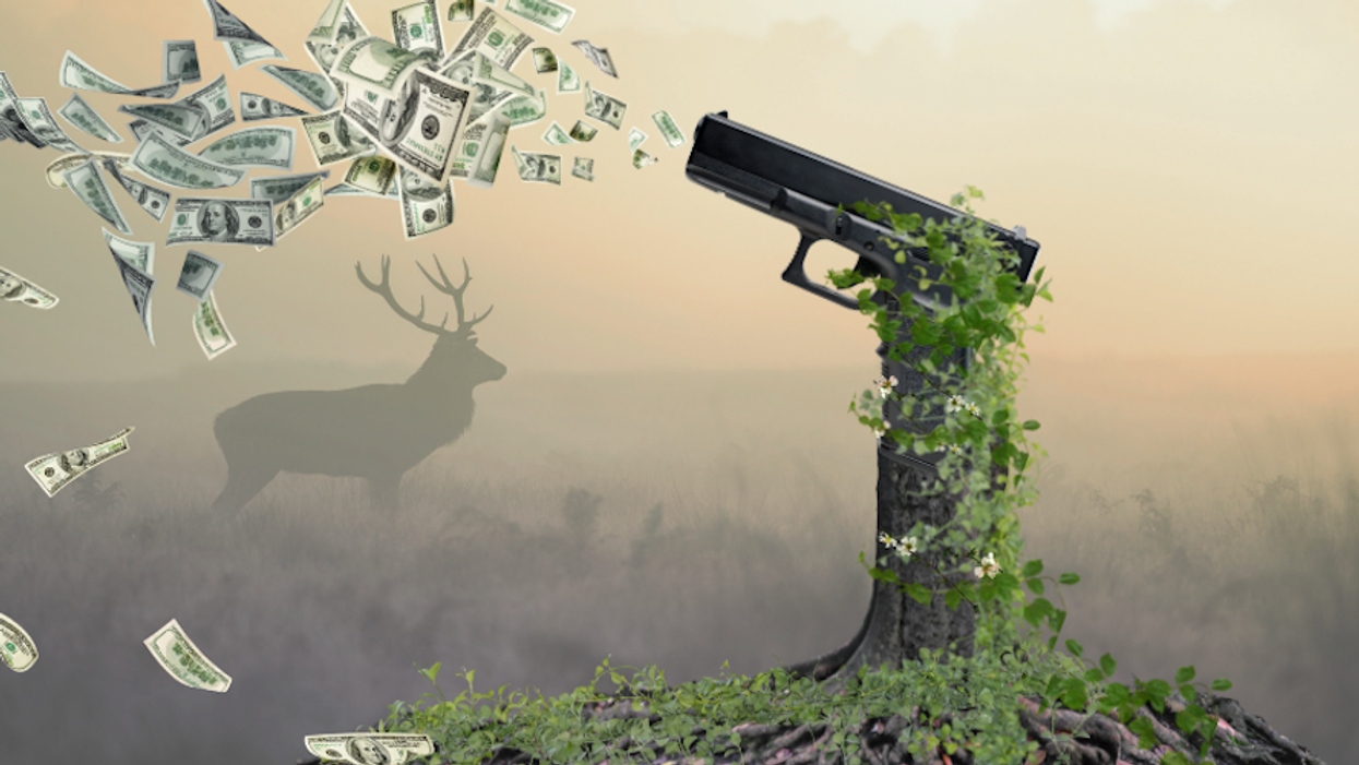 firearm tax for wildlife conservation