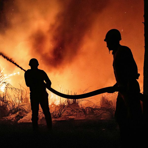 Increased autism risk linked to exposure to wildfire smoke during pregnancy