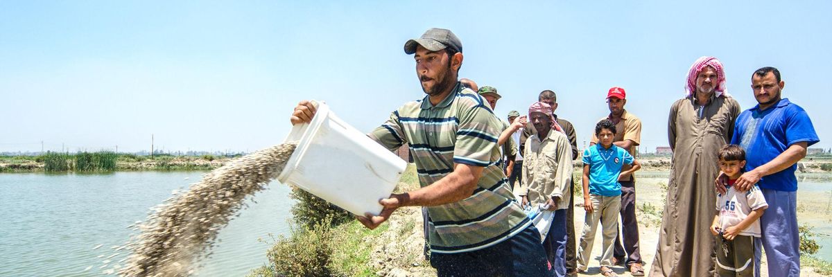 Fish farming