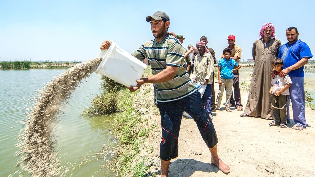 Fish farming