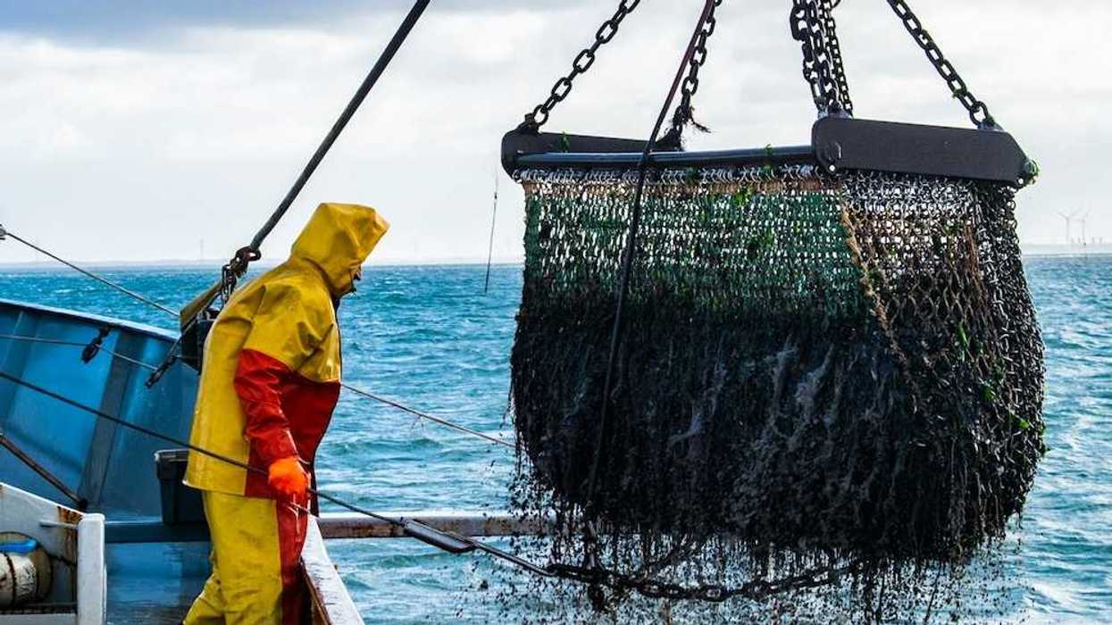 Fisherman in yellow and red rain gear, standing on deck of trawler, landing bottom trawling cage .