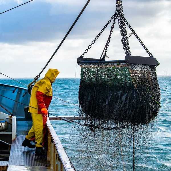 Fisherman in yellow and red rain gear, standing on deck of trawler, landing bottom trawling cage .