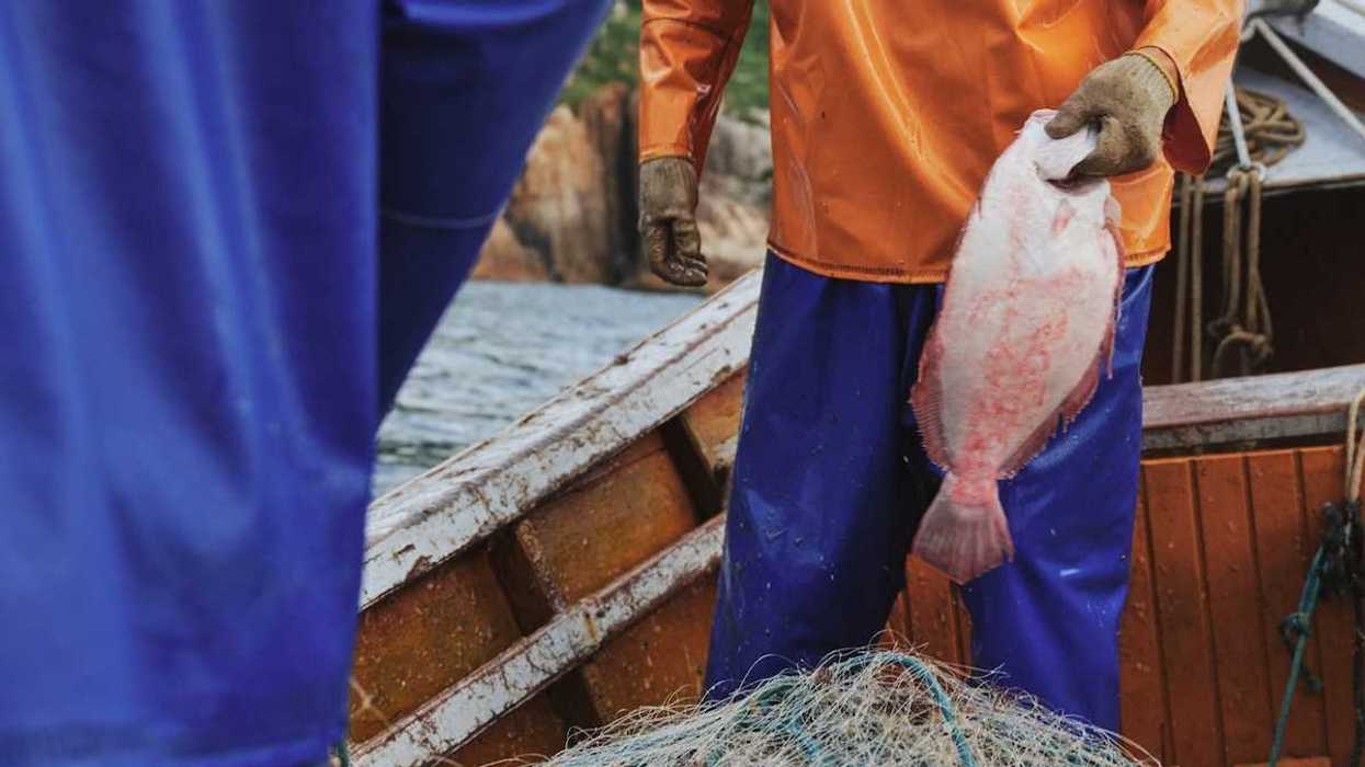 Fishermen in slickers harvesting their catch