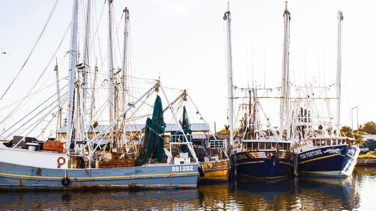 Fishing boats docked at a pier on the Gulf coast.