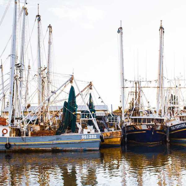 Fishing boats docked at a pier on the Gulf coast.