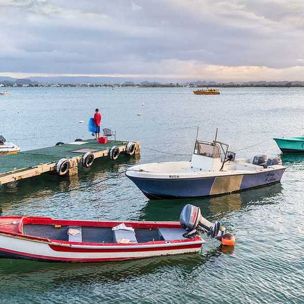 Fishing boats in the water at a dock in a tropical location