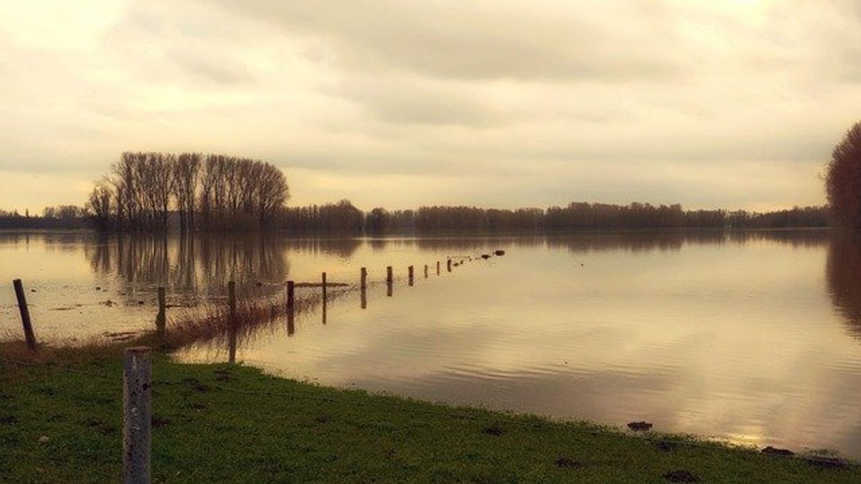 Flooded river with bare trees in distance against a cloudy sky.