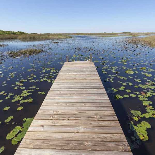 Florida Everglades - wooden dock stretching into the wetlands