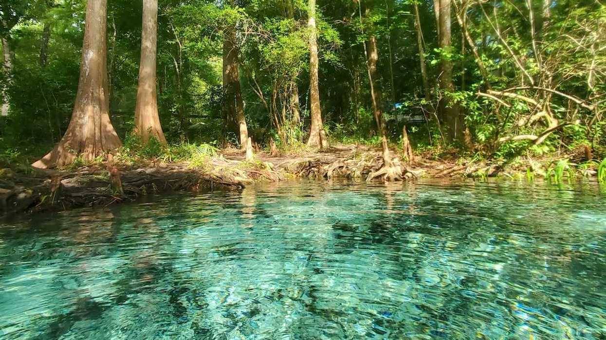 Florida spring with clear blue-green water