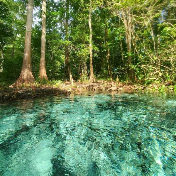 Florida spring with clear blue-green water