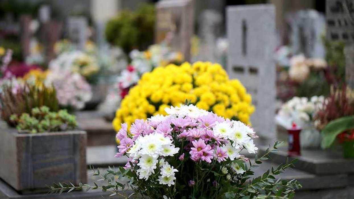 Flowers placed at gravestones in a cemetery