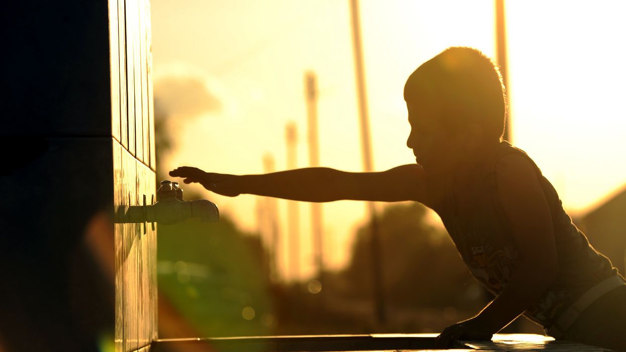 Fluoride child brain