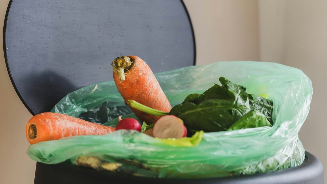 Food waste & agricultural inefficiencies.