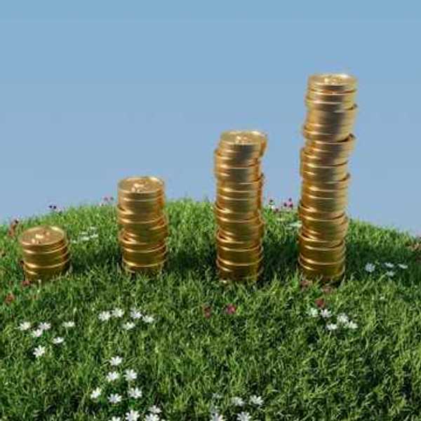 Four stacks of gold coins getting progressively higher on a green hill with flowers