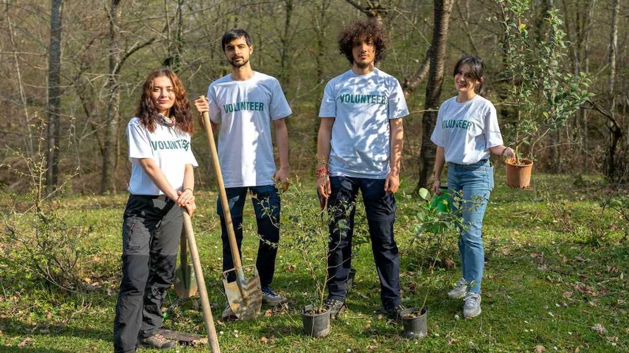 Four young people wearing t-shirts that read "volunteers" equipped to plant trees.