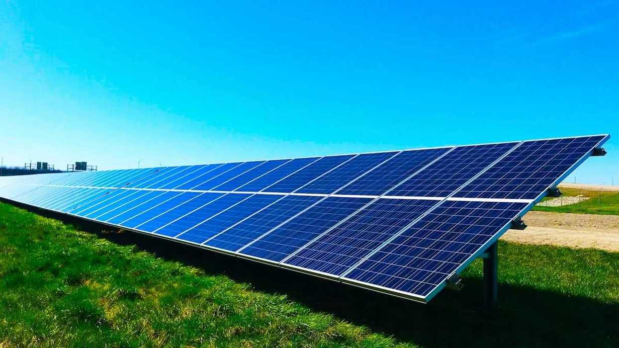 Free standing solar panels on green grass