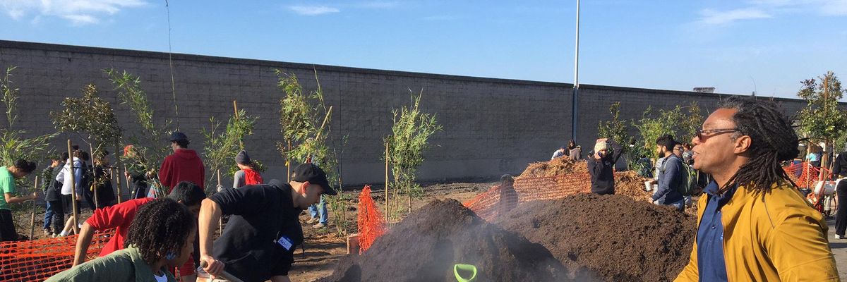 freeways black communities