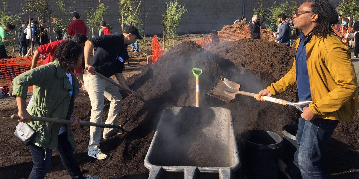 freeways black communities