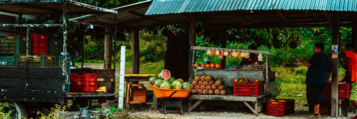Fruits being sold at a roadside stand in a lush tropical environment.