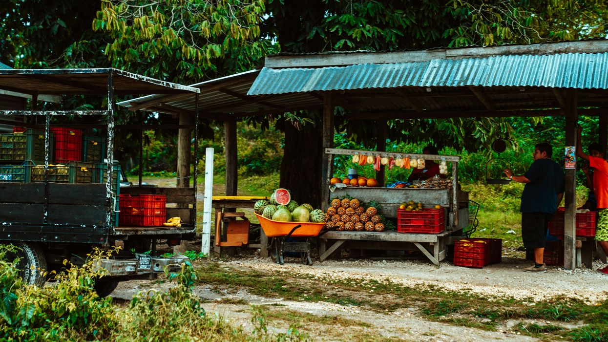 Fruits being sold at a roadside stand in a lush tropical environment.