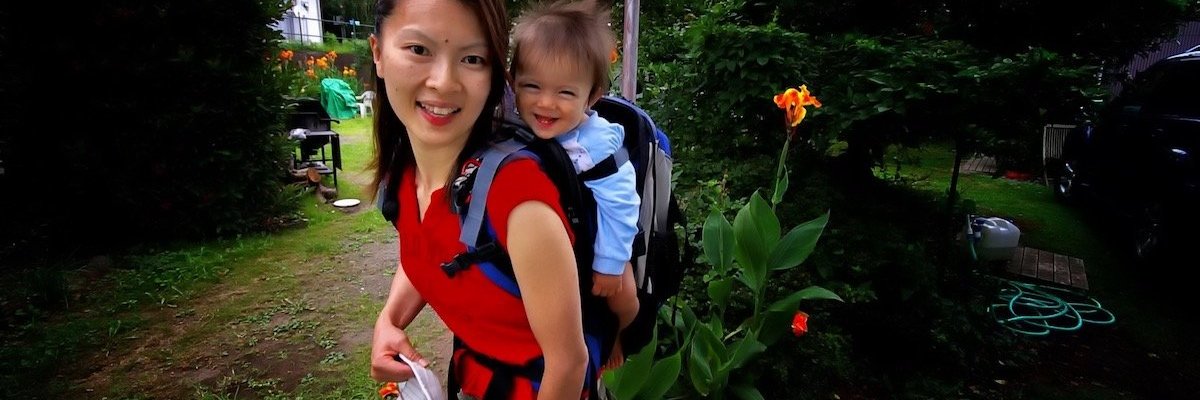 global birthrates declining