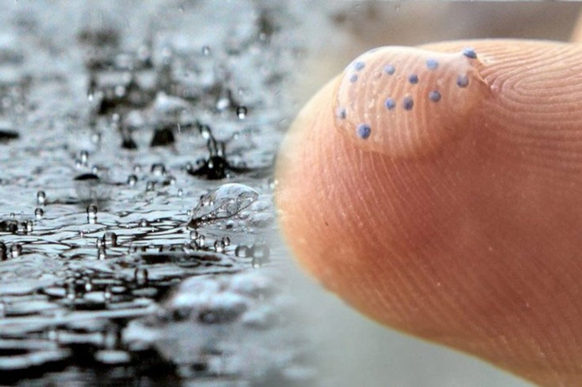 global plastics negotiations arctic