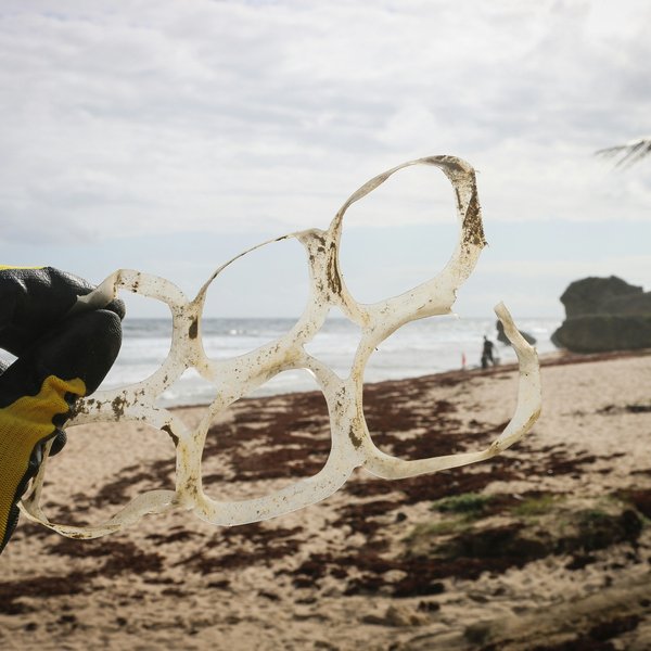 gloved hand holding a plastic 6-pack holder found on a beach