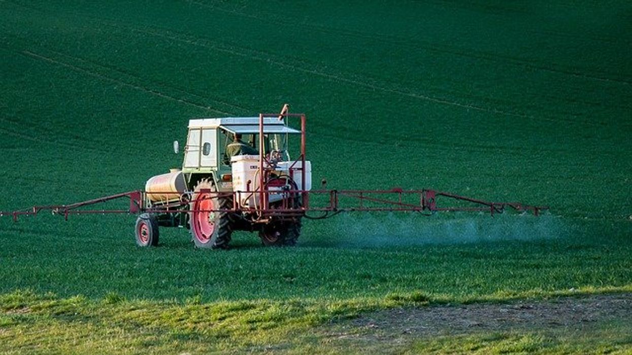 glyphosate application
