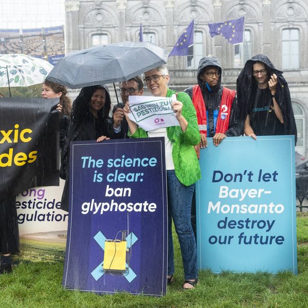 glyphosate BAYER