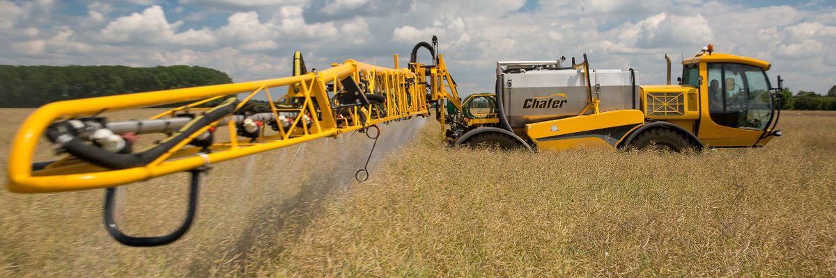 glyphosate cancer
