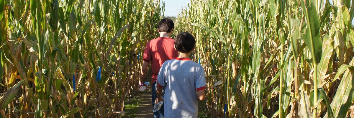 glyphosate children health