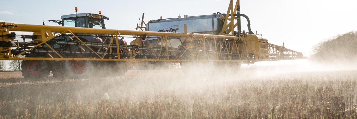 glyphosate herbicide pesticide crop spray