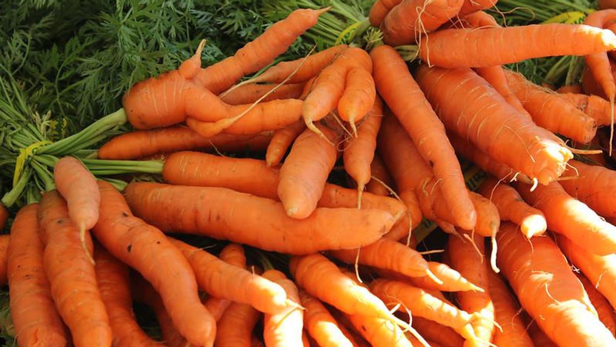 great organic-food fraud