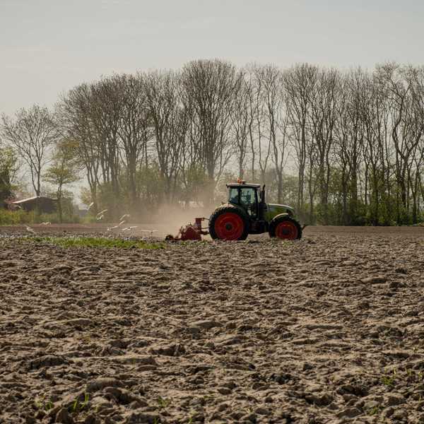 green and orange tractor on brown field during daytime with bare trees in background.