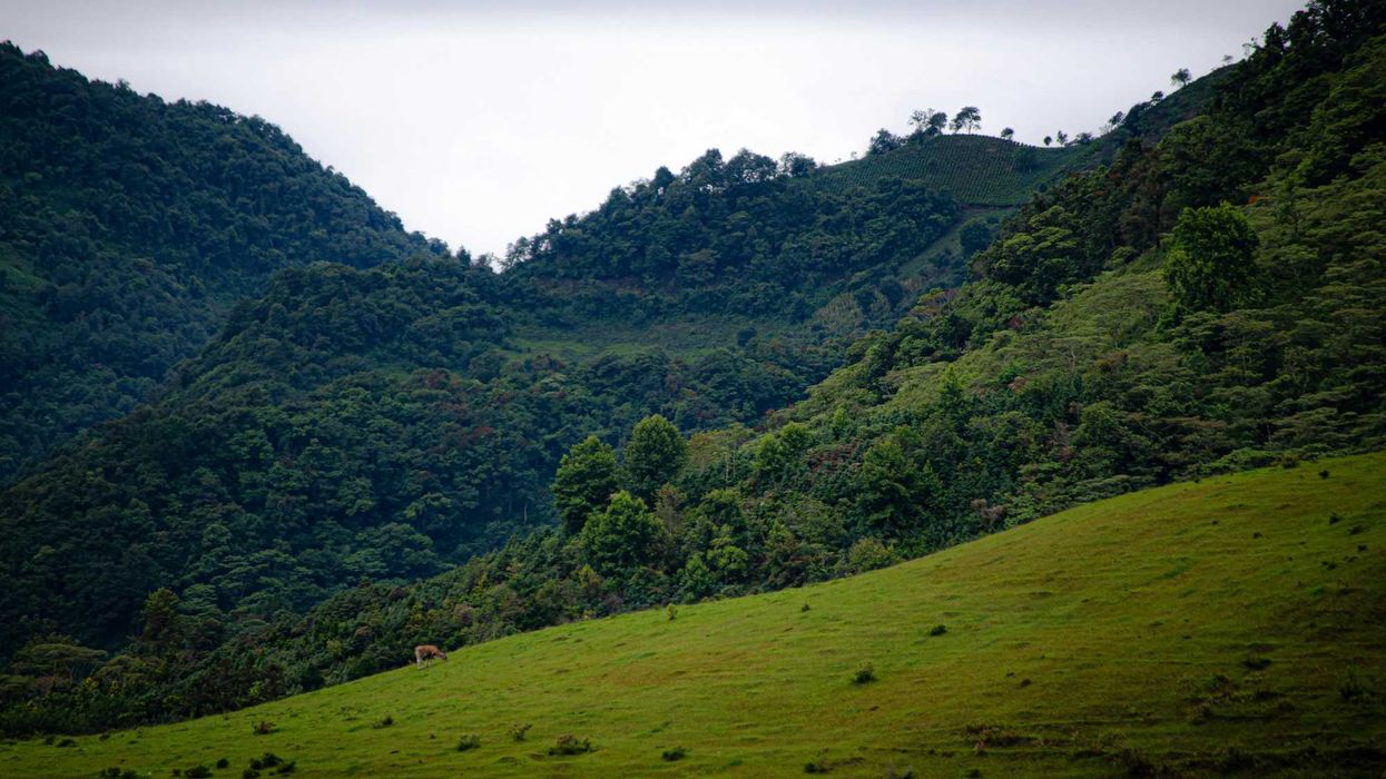 green grass field and mountains on a cloudy day.