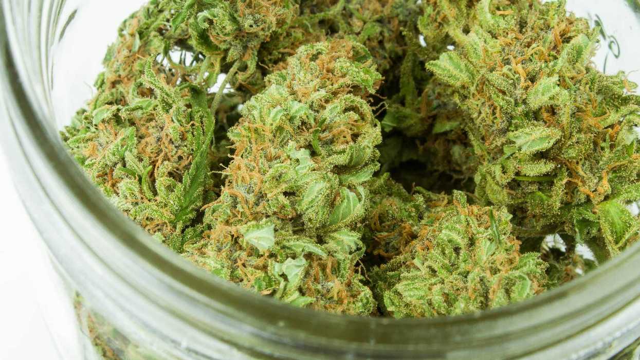 green kush in clear glass jar