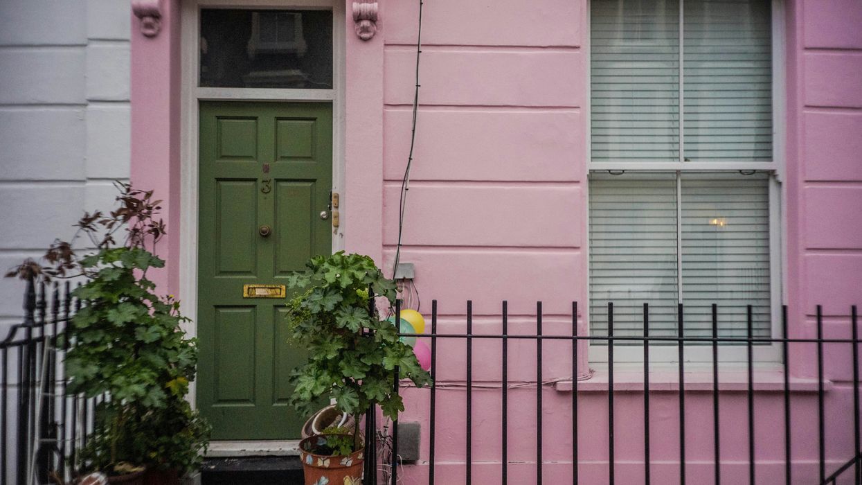 green leafed plants on the stoop next to a pink townhouse with a green door.