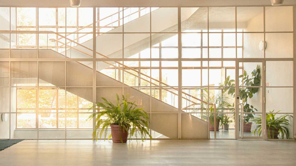 green potted plant in front of windows and staircase in hospital lobby