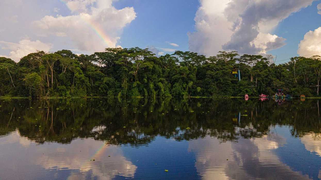 green trees beside body of water under blue sky and white clouds during daytime.