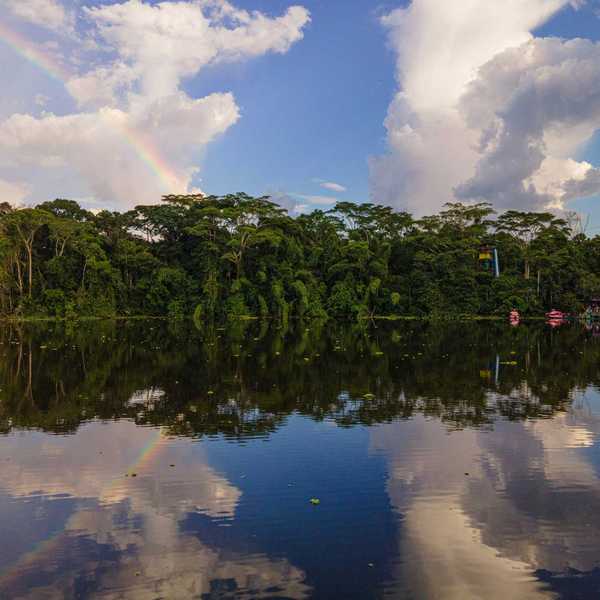 green trees beside body of water under blue sky and white clouds during daytime.