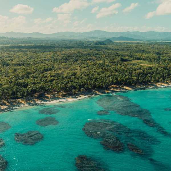 green trees near blue body of water during daytime.